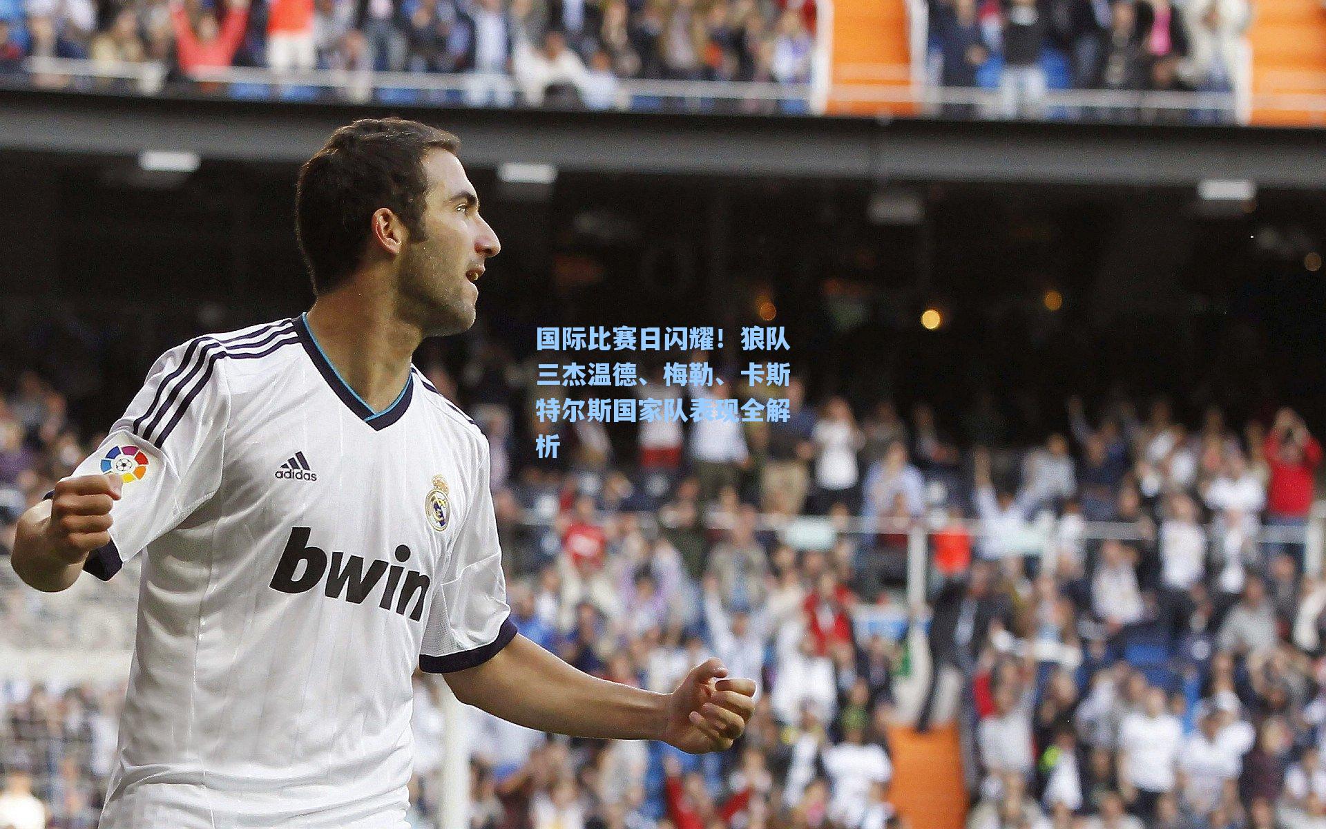 国际比赛日闪耀!狼队三杰温德、梅勒、卡斯特尔斯国家队表现全解析