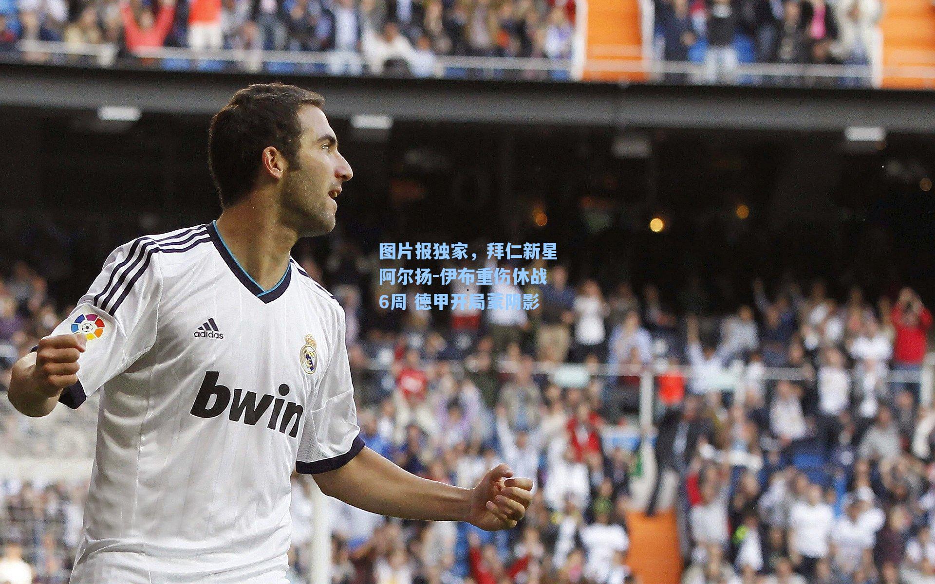 图片报独家，拜仁新星阿尔扬-伊布重伤休战6周 德甲开局蒙阴影