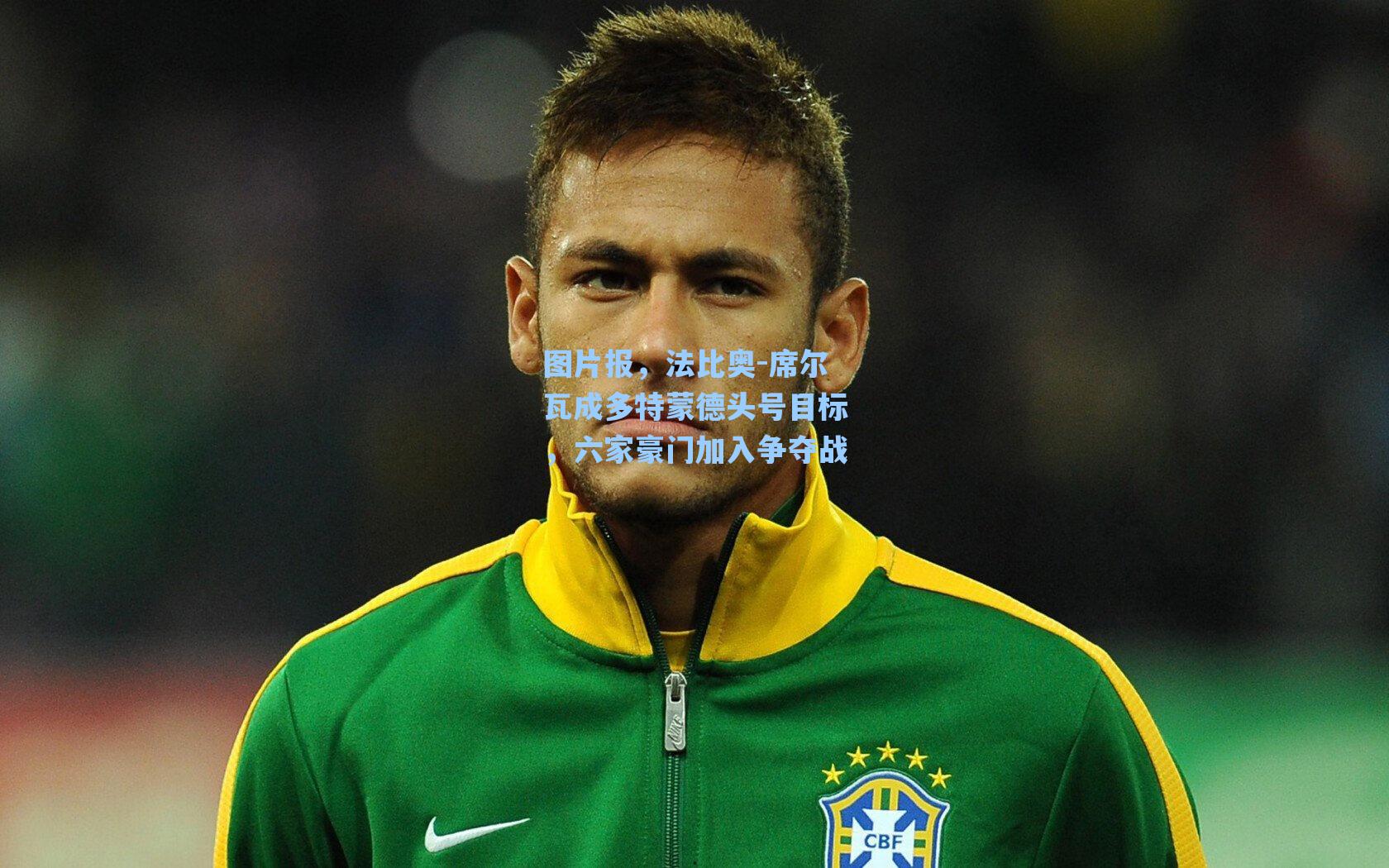 图片报,法比奥-席尔瓦成多特蒙德头号目标,六家豪门加入争夺战