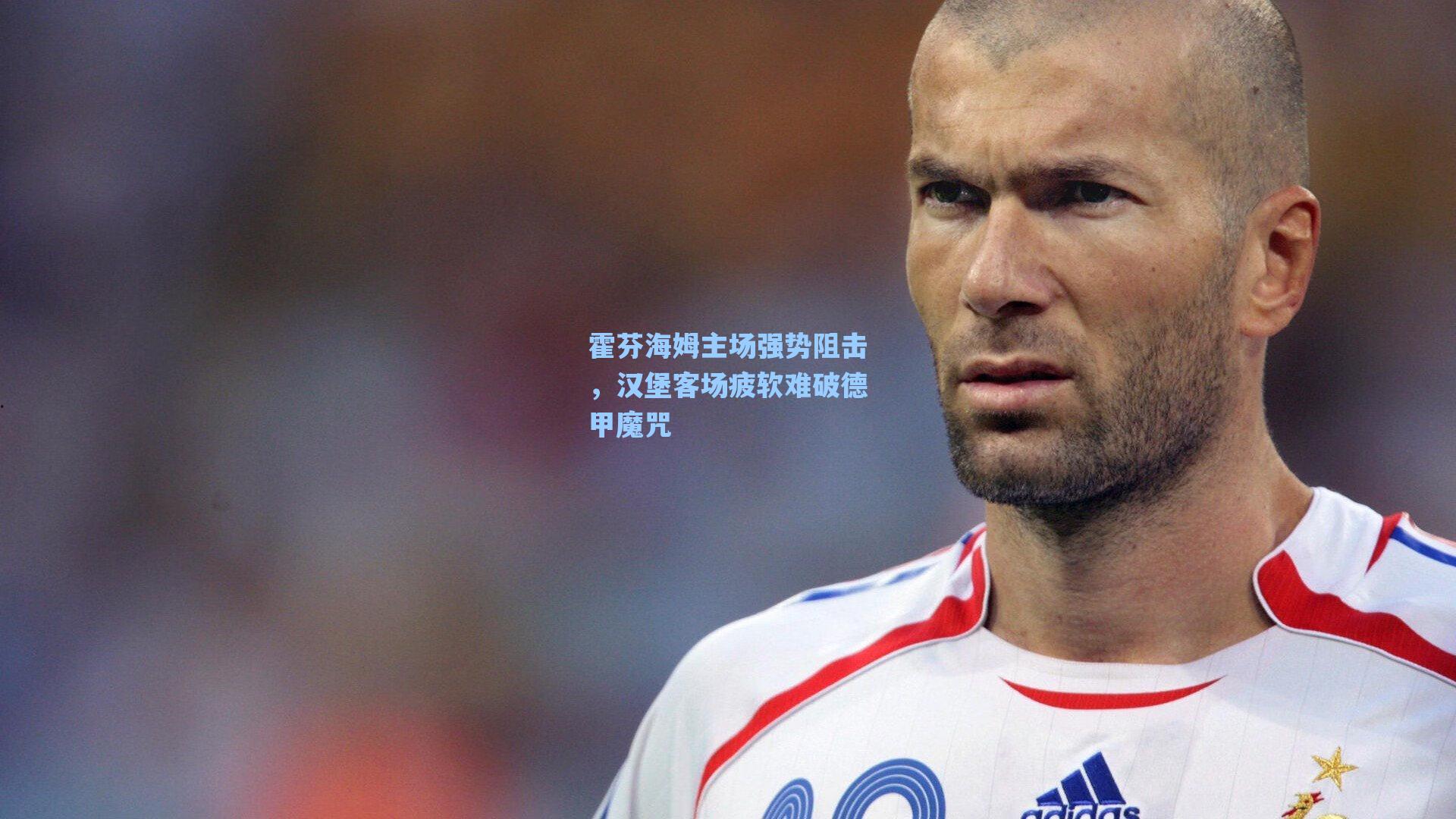 霍芬海姆主场强势阻击，汉堡客场疲软难破德甲魔咒